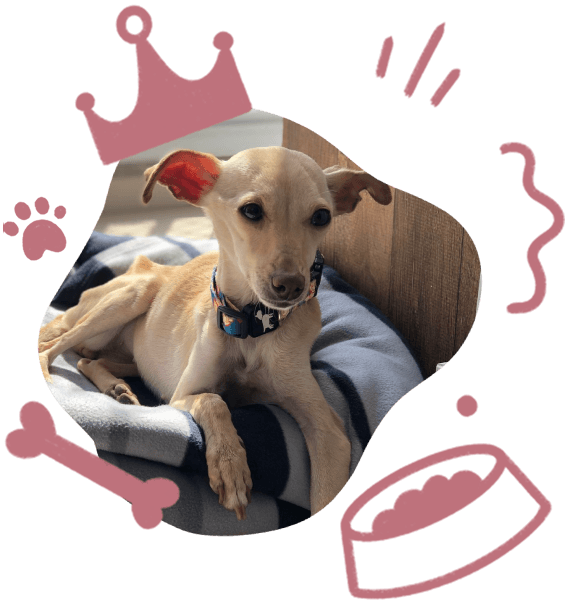 Mia - nossa inspiração